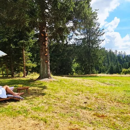 Ayurveda Zentrum Am Dreisessel 호텔 하이드뮐